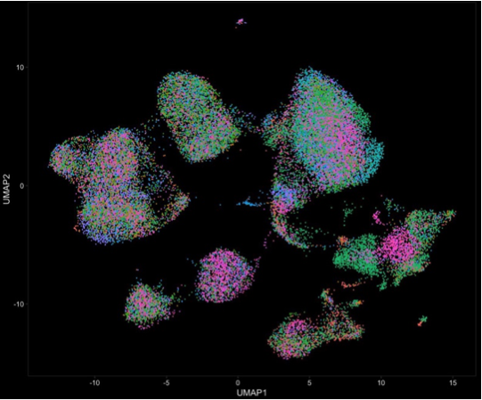 cellular_interactions