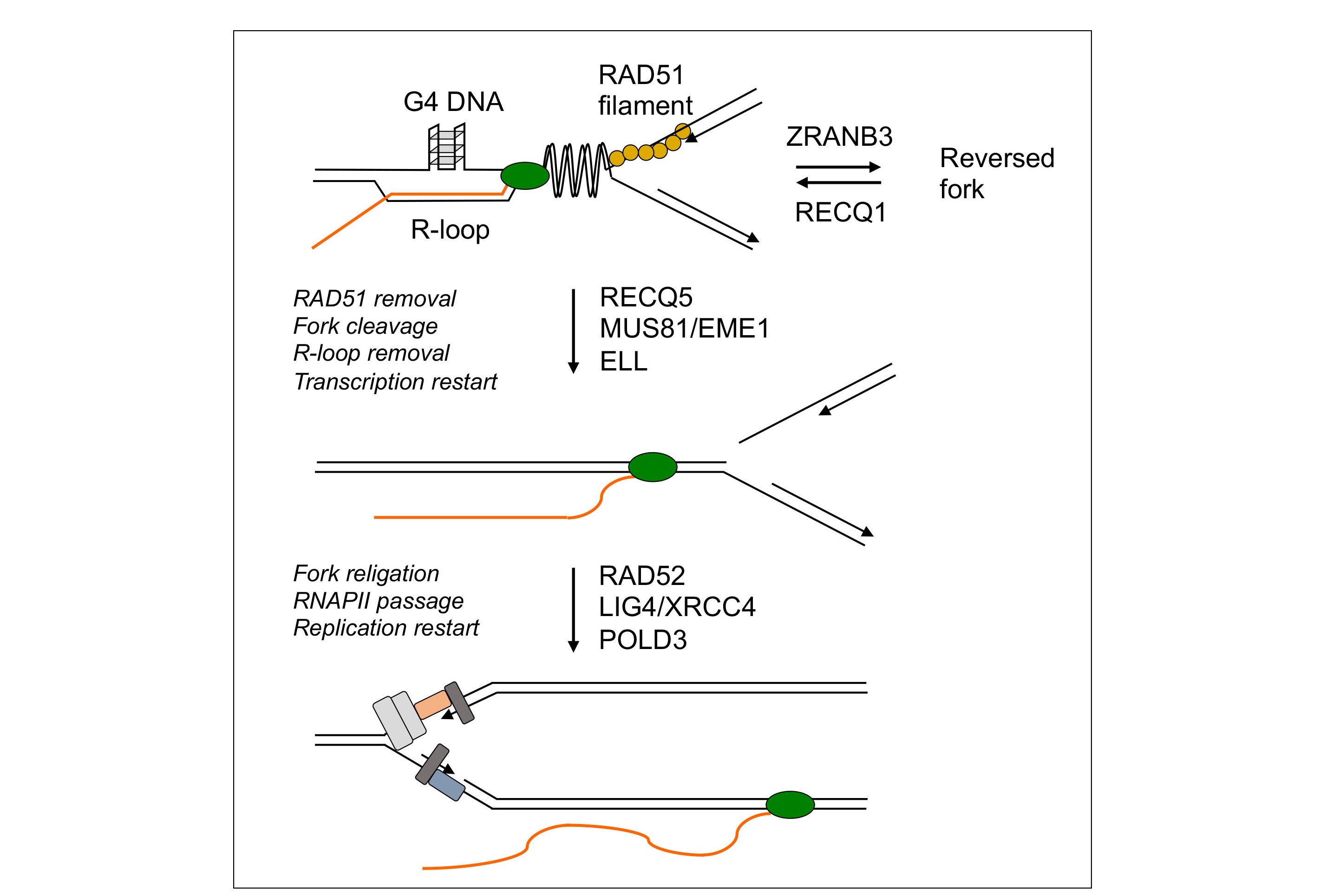 Figure 2 for project 2