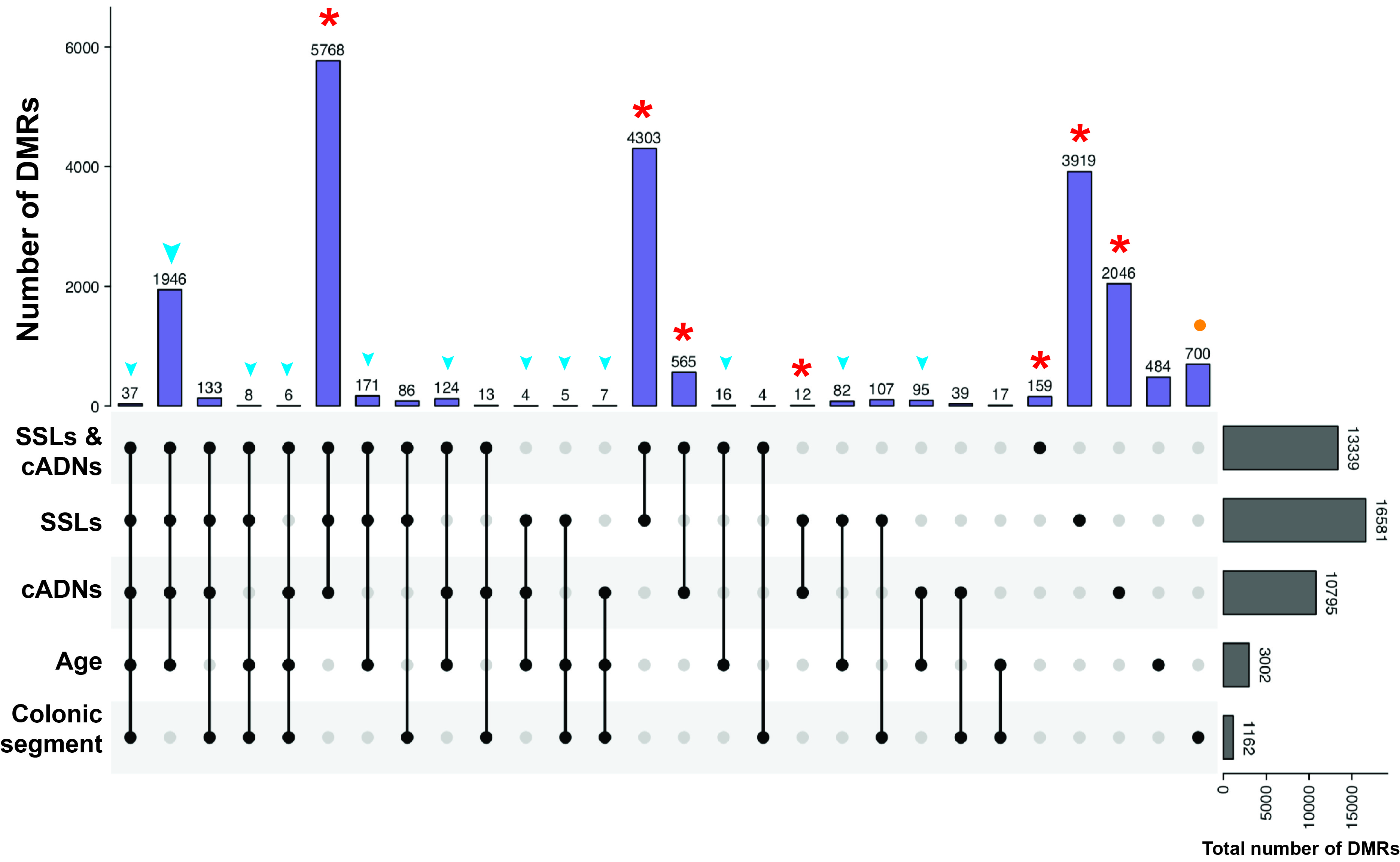 UpSet plot showing tumorgenesis DMRs